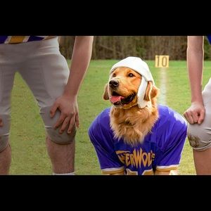 Meet your Posher, Spencer